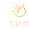 dirlie – Главная